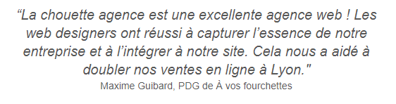 agence web, agence web lion, web design, stratégie web